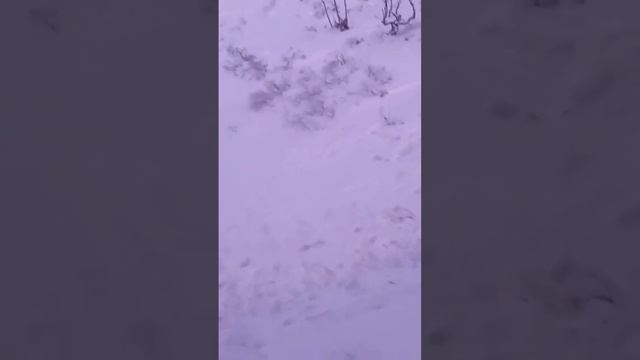 Самая опасная помеха зимой для дальнобоев в Скандинавии ☝️🇧🇻🇸🇪 #дальнобойпоскандинавии смотреть онлайн