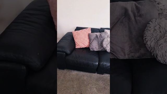 Sofa Transformation @Reahandmea #sofa #transformation #sittingroom #leather смотреть онлайн