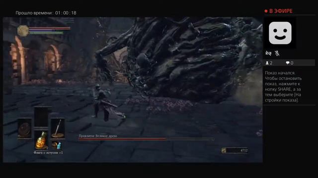 Очко бабуина - DS3