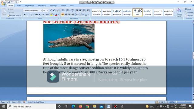 The Crocodile Full information and Types and Dangerous and Eating and Important and Tamil Nadu смотреть онлайн