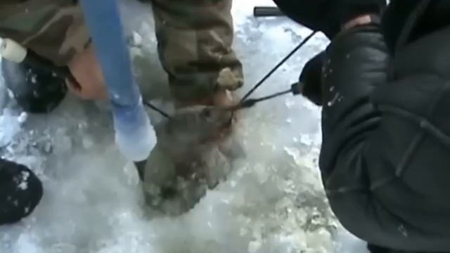 енакиевское море рыбалка смотреть онлайн