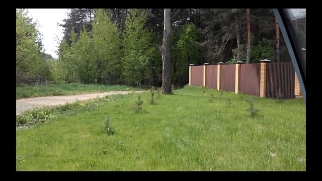 триколор тв развод и обман смотреть онлайн