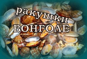 Ракушки ВОНГОЛЕ. Быстро ,вкусно,просто!