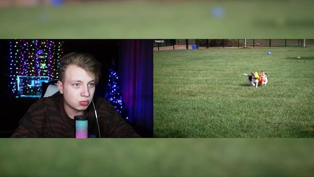 САМЫЕ БОГАТЫЕ ЖЕНЩИНЫ В МИРЕ