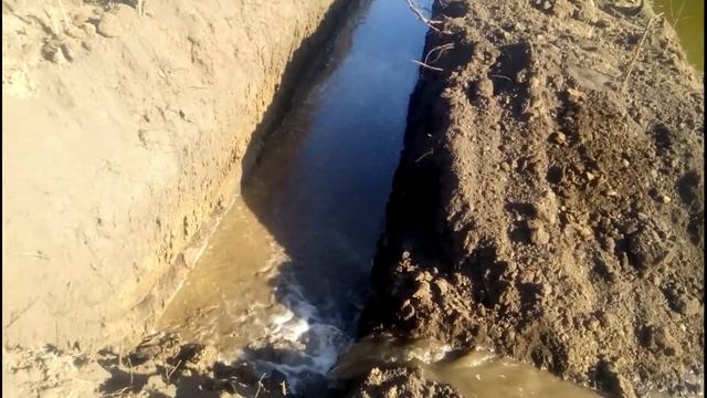 Копает пруд. Часть 2 смотреть онлайн