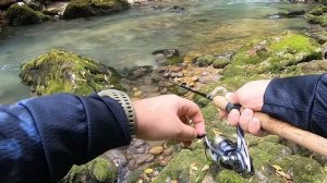 Форель горных рек Кавказа. Рыбалка в сказочных местах.