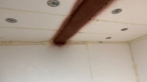 ХОЛОДИЛЬНИК ДЛЯ ФРИГО !!!  ХРАНЕНИЕ РАССАДЫ КЛУБНИКИ ЗИМОЙ