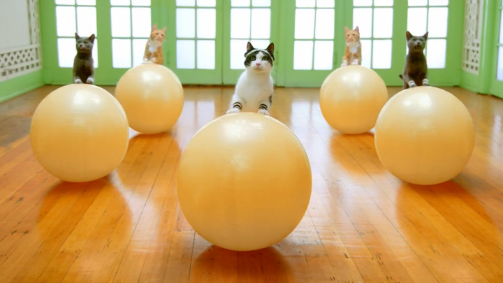 Alex Gaudino ft. Taboo - I Don't Wanna Dance - Work It Kitty смотреть онлайн