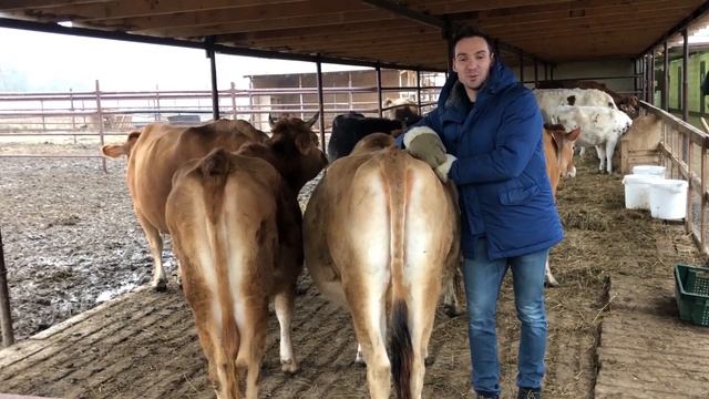 Домовенок Ремонтович