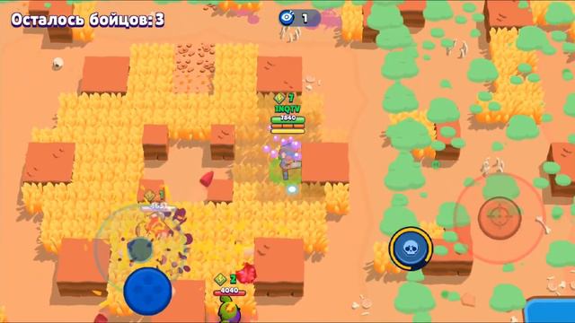 ПОЛНЫЙ РАЗБОР ОБНОВЛЕНИЯ АПТЕЧКА НА ШЕЛЛИ НОВАЯ ВАЛЮТА И ТИК BRAWL STARS | Бравл Старс смотреть онлайн