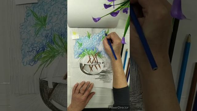 Видеоурок "Цветы в стекле" (карандашами). смотреть онлайн