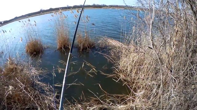 Первая рыбалка весной. Красноперка на поплавочную удочку. Активный клев. Уборка территории. смотреть онлайн