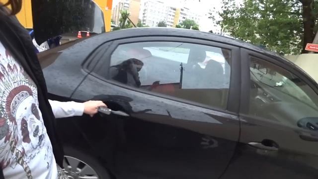 ВЛОГ Рухнули все планы | Покатушки в гипермаркет ЛЕНТА Серпухов | Dodo pizza 12.07.2017 смотреть онлайн