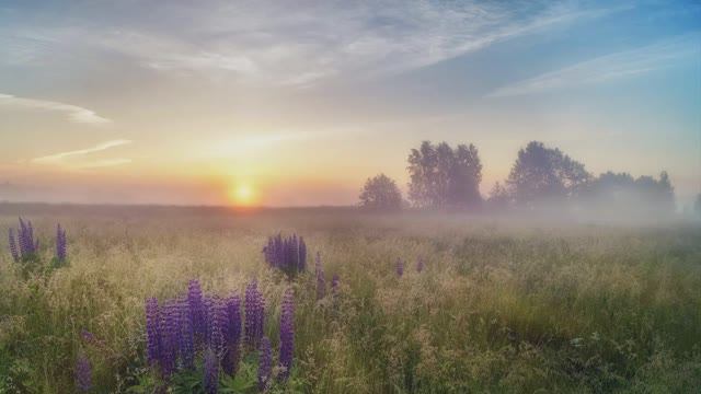 859.♫ .Трио Меридиан -"Я тебя никогда не забуду",1983, муз.А.Рыбникова , стихи Андрея Вознесенского смотреть онлайн