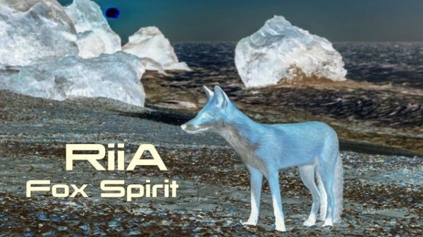 RIIA - FOX SPIRIT // DEEP // AFRO // DOWNTEMPO // 2024