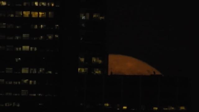 Moon set - July 2, 2015 - test clip with my Nikon Coolpix P900 смотреть онлайн
