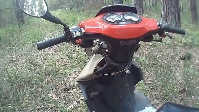 СКУТЕР или МОПЕД Что лучше смотреть онлайн