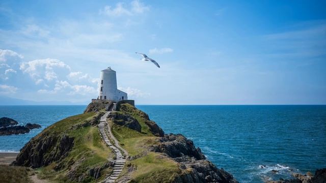 Keith Kenniff. Revelry