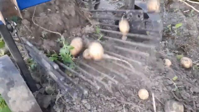 Полтавская картофелекопалка смотреть онлайн