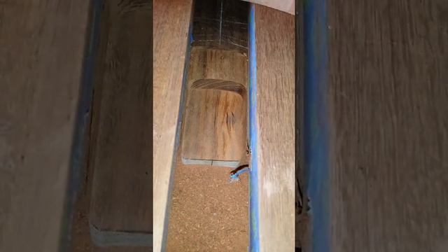 Custom Ibanez rebuild - Zoeden Custom Guitars смотреть онлайн