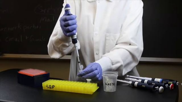 How to Use a Micropipette | SEP смотреть онлайн