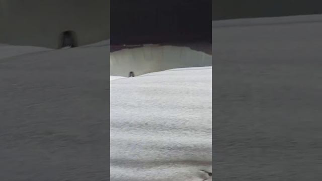 Вода в багажнике Лада гранта где запаска смотреть онлайн