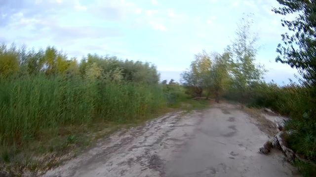 Поиск на поисковый магнит.Коп 2018 смотреть онлайн