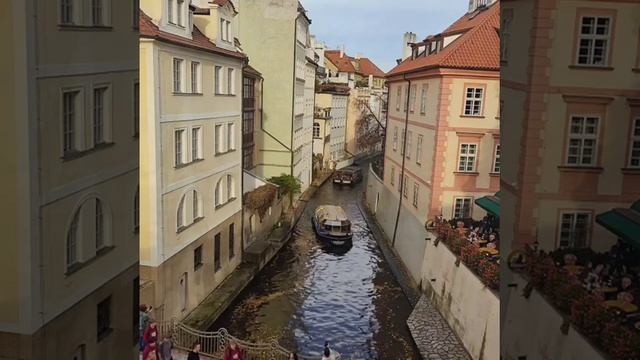 Щепотка тебе корона не жмёт??? Моя просьба к моим зрителям смотреть онлайн