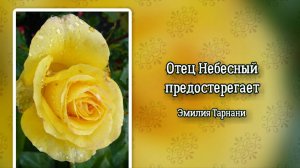 Отец Небесный предостерегает (+)