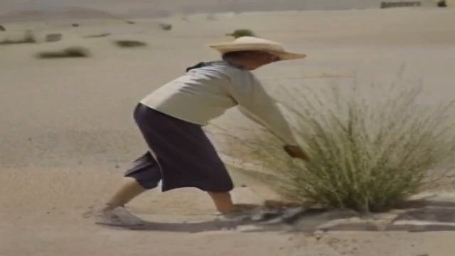 [AI] grandma throwing grass in the desert смотреть онлайн