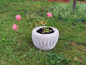 Что делать, если ведро просвечивает сквозь ротанг? Закрываю просветы.