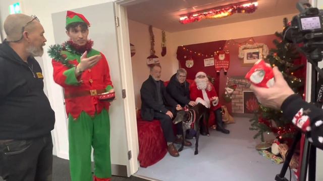 Santa Paws at The Dogs Trust смотреть онлайн