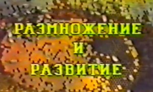 обучалки ссср.mp4