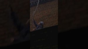 Как достать с крыши мяч