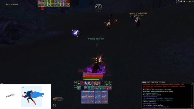 Laureja Sorceress POV - Ctrl Alt Canc - Phoenix Server смотреть онлайн