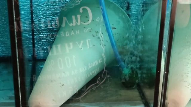 Новые инкубаторы набитые икрой и личинкой