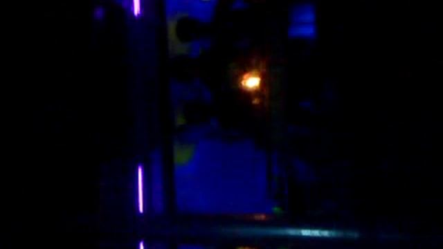 Curlies - GOA смотреть онлайн