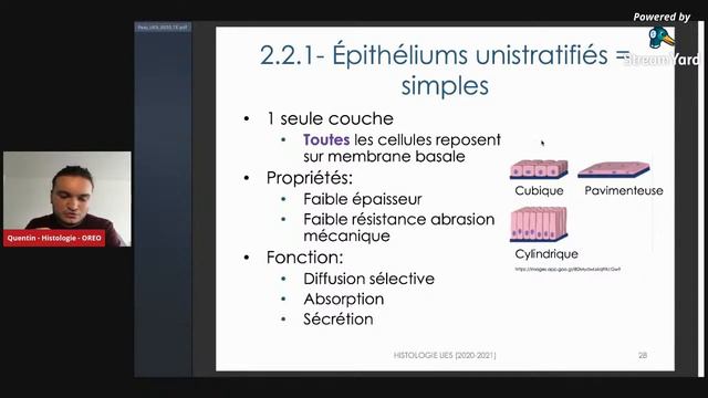 Histologie avec Quentin смотреть онлайн