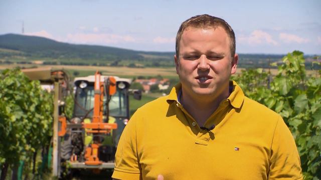 Eichenwald Weine Imagefilm