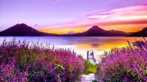 КРАЙОН - У вас есть эти способности. Они всегда у вас были. Пора принять их как свою реальность