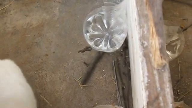 Видео 188.Клетки для кроликов своими руками из под холодильников .Голь на выдумки хитра. смотреть онлайн