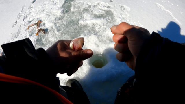 рыбалка на озере д Покосное смотреть онлайн