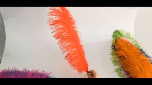 Перья страуса смотреть онлайн