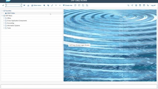 SAP GUI Installation - Step-by-Step Guide to SAP Post Installation Steps (Lecture 9) смотреть онлайн