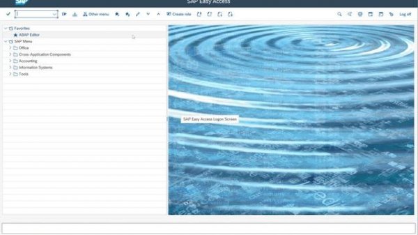 SAP GUI Installation - Step-by-Step Guide to SAP Post Installation Steps (Lecture 9)