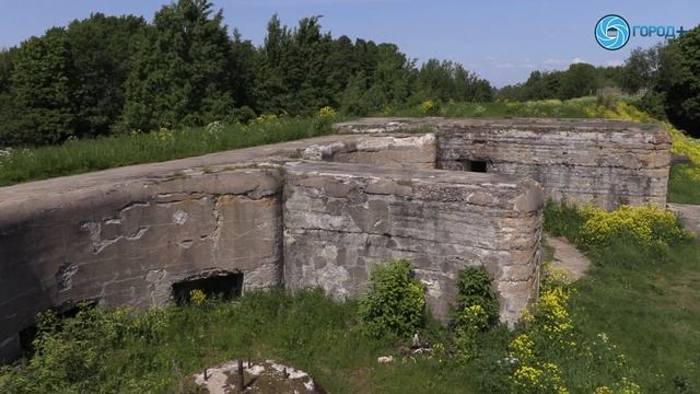 «Мой старт»: экологический маршрут в Кронштадте смотреть онлайн