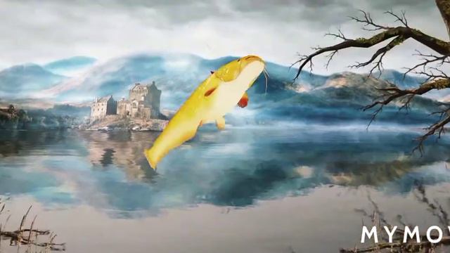 Fishing Clash l Вылов Сома-Альбиноса и прокачка локации смотреть онлайн