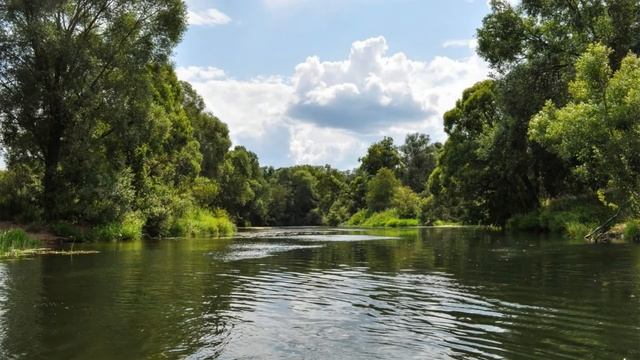 Течет Протва издалека смотреть онлайн