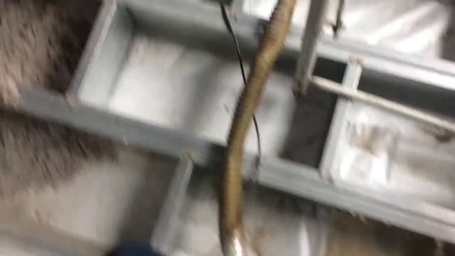 Звукоизоляция Эковата смотреть онлайн