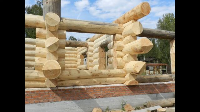строительство дома-бани из алтайского кедра смотреть онлайн